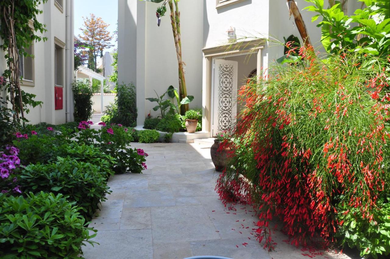 Olivias Group Hotel Gumbet Exterior photo